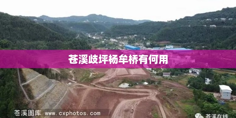 苍溪歧坪杨牟桥有何用