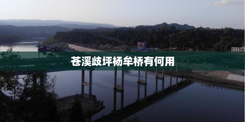 苍溪歧坪杨牟桥有何用