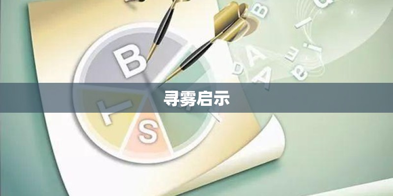 寻雾启示