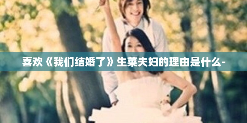 喜欢《我们结婚了》生菜夫妇的理由是什么-