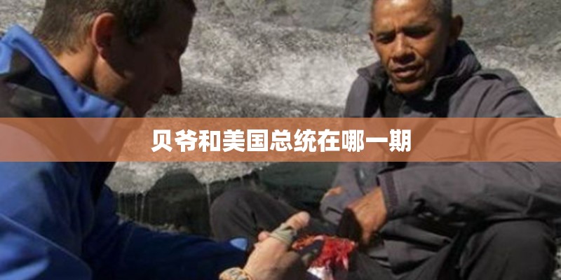 贝爷和美国总统在哪一期