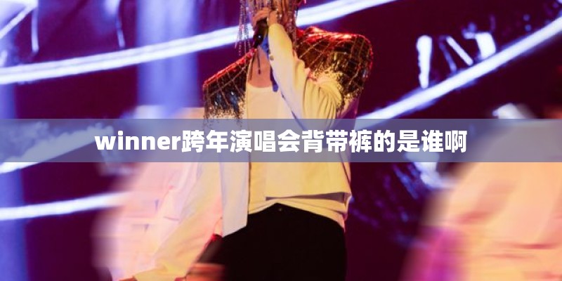 winner跨年演唱会背带裤的是谁啊