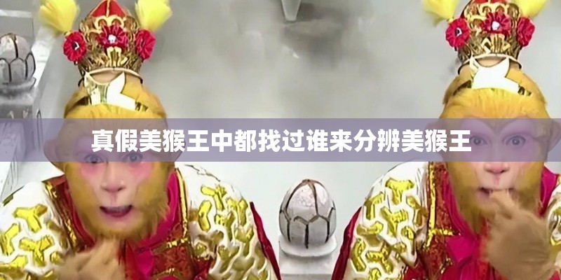 真假美猴王中都找过谁来分辨美猴王