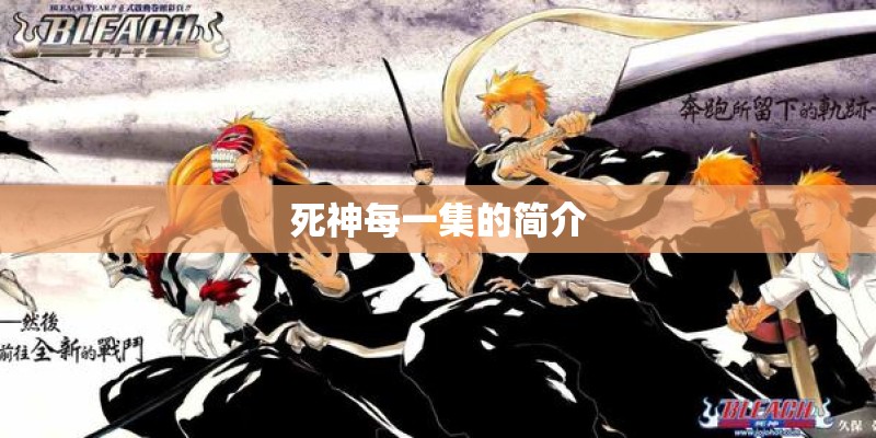 死神每一集的简介