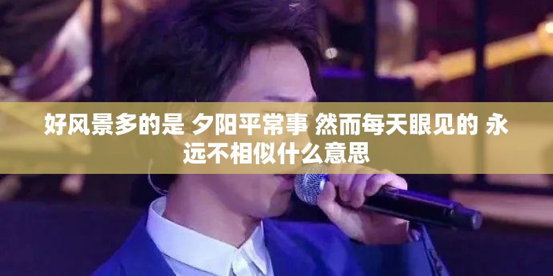 好风景多的是 夕阳平常事 然而每天眼见的 永远不相似什么意思