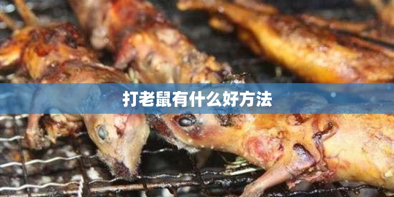 打老鼠有什么好方法