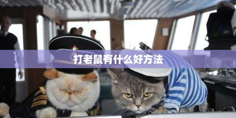 打老鼠有什么好方法