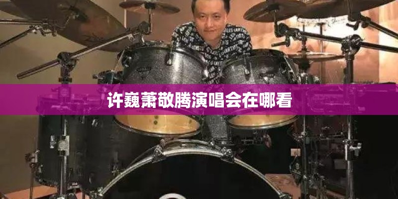 许巍萧敬腾演唱会在哪看