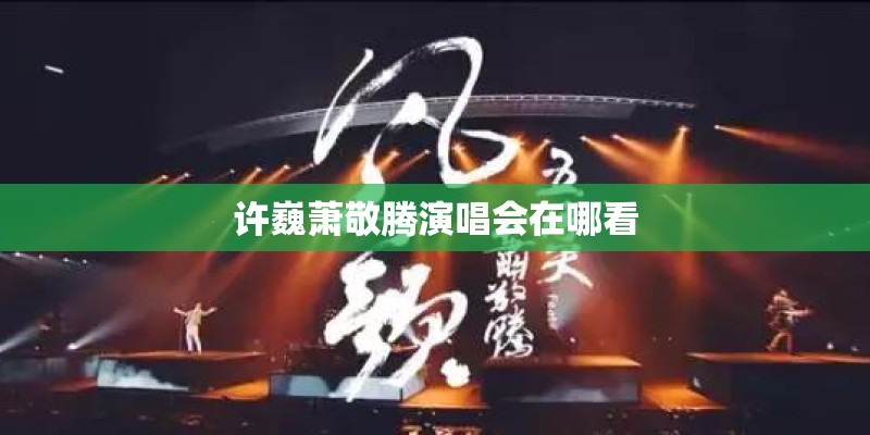 许巍萧敬腾演唱会在哪看