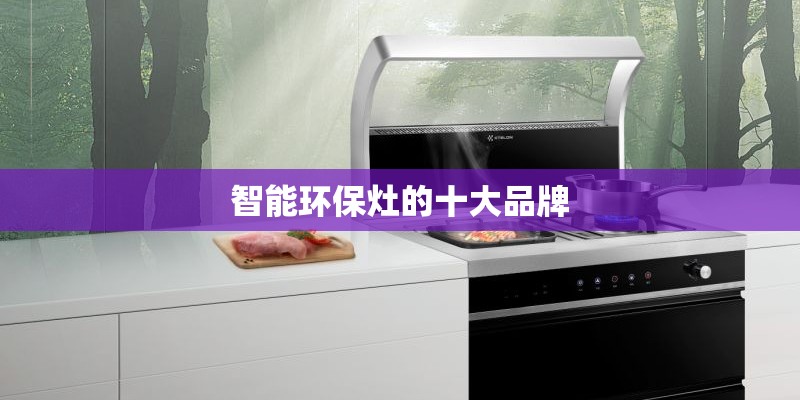 智能环保灶的十大品牌