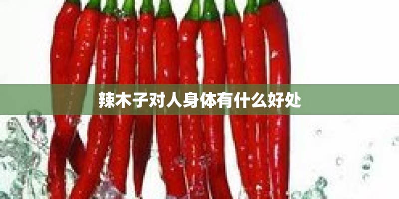 辣木子对人身体有什么好处