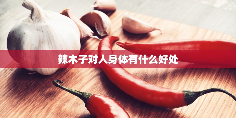 辣木子对人身体有什么好处