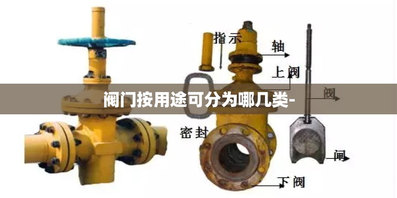 幼儿园秋天教案：种豌豆
