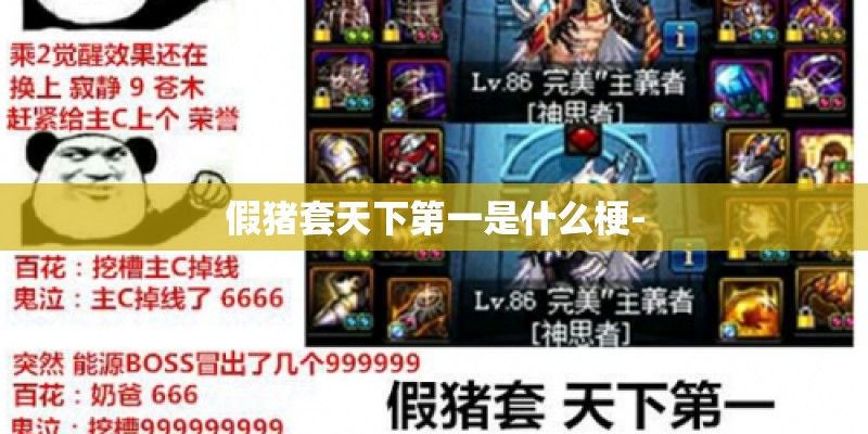 假猪套天下第一是什么梗-
