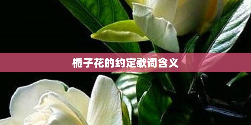 栀子花的约定歌词含义