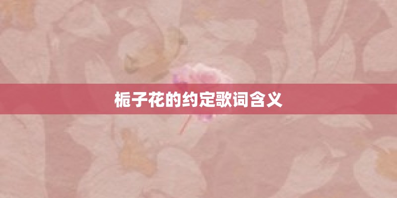 栀子花的约定歌词含义