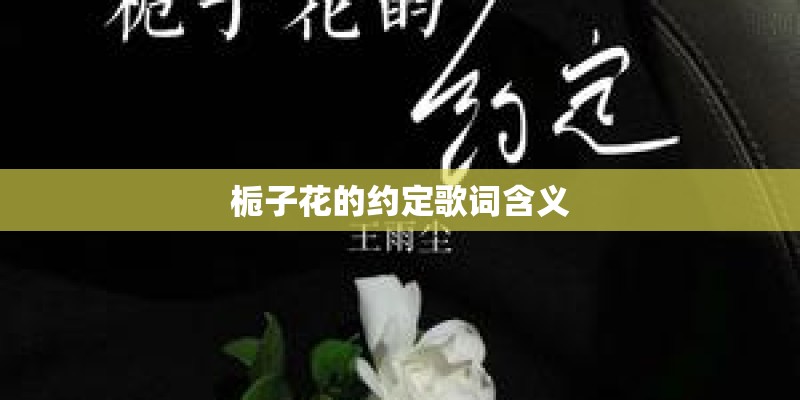 栀子花的约定歌词含义
