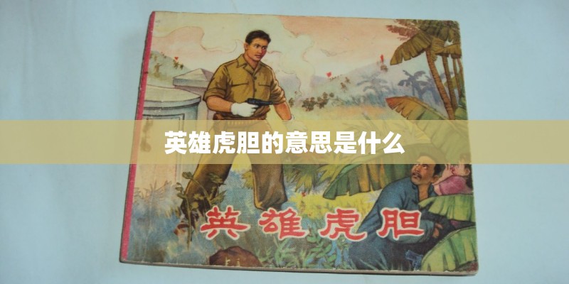 英雄虎胆的意思是什么