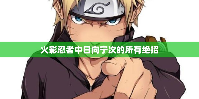 火影忍者中日向宁次的所有绝招