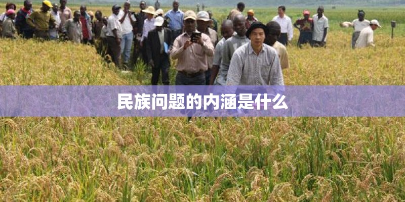 民族问题的内涵是什么