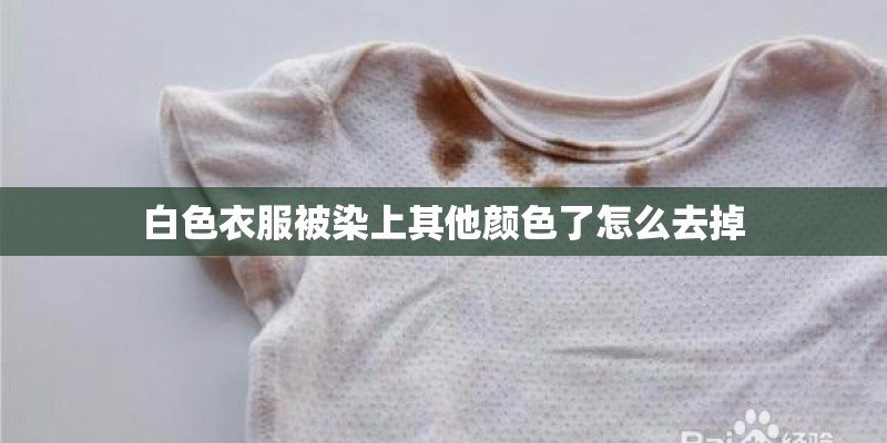 白色衣服被染上其他颜色了怎么去掉