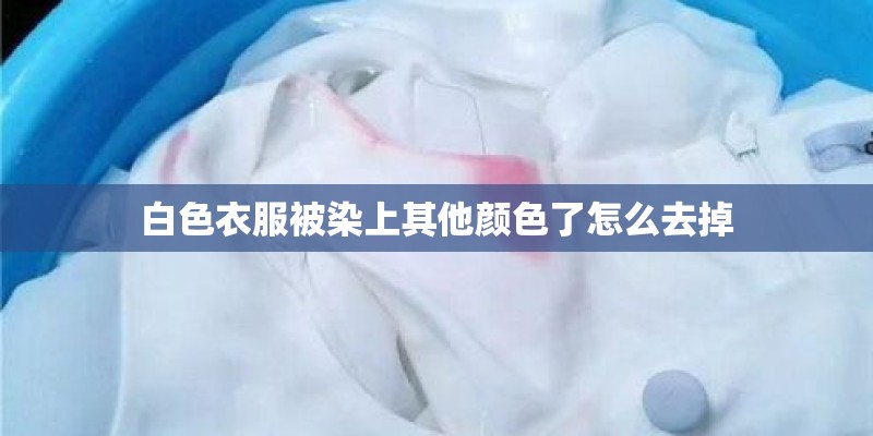 白色衣服被染上其他颜色了怎么去掉 白色衣服被染上其他颜色了怎么去掉