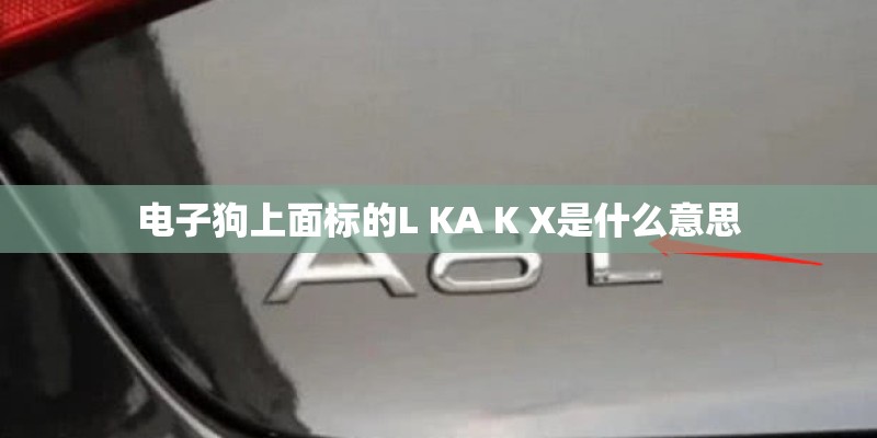 电子狗上面标的L KA K X是什么意思