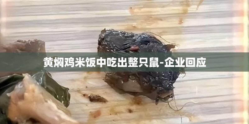 黄焖鸡米饭中吃出整只鼠-企业回应