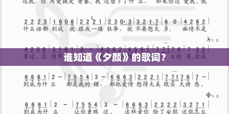 谁知道《夕颜》的歌词？