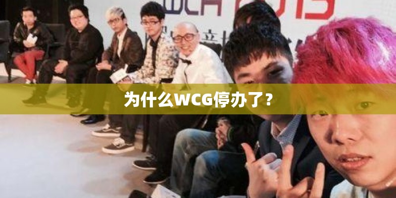 为什么WCG停办了? 为什么WCG停办了?