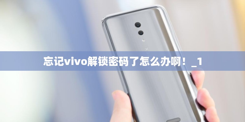 忘记vivo解锁密码了怎么办啊！_1