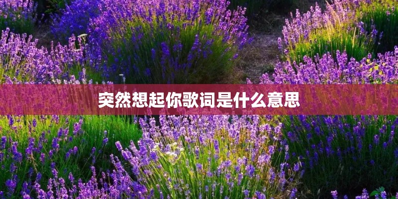 突然想起你歌词是什么意思