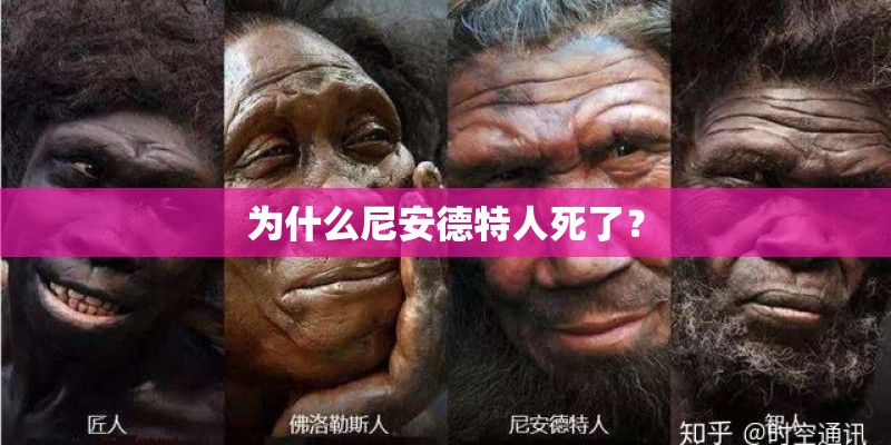 为什么尼安德特人死了? 为什么尼安德特人死了?