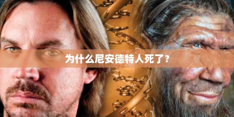 为什么尼安德特人死了? 为什么尼安德特人死了?