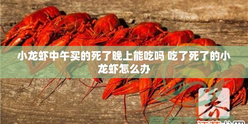 小龙虾中午买的死了晚上能吃吗 吃了死了的小龙虾怎么办
