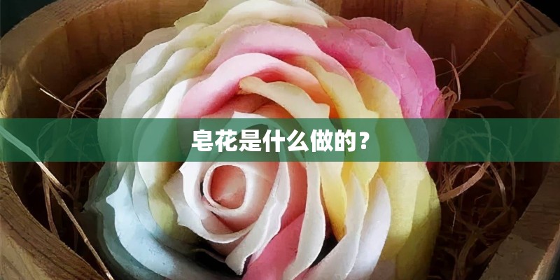 皂花是什么做的？