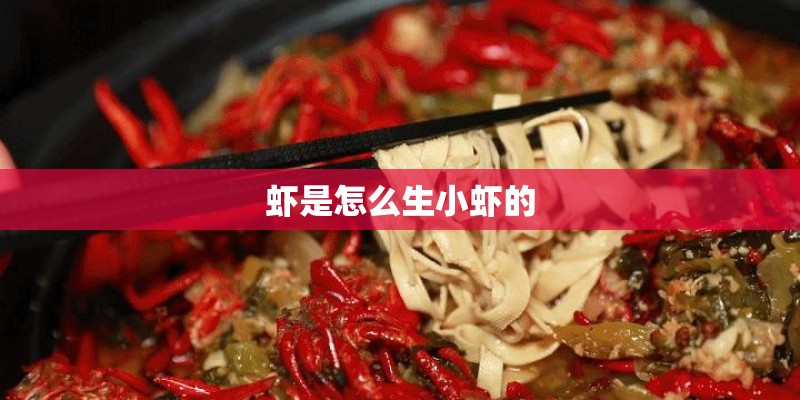 虾是怎么生小虾的