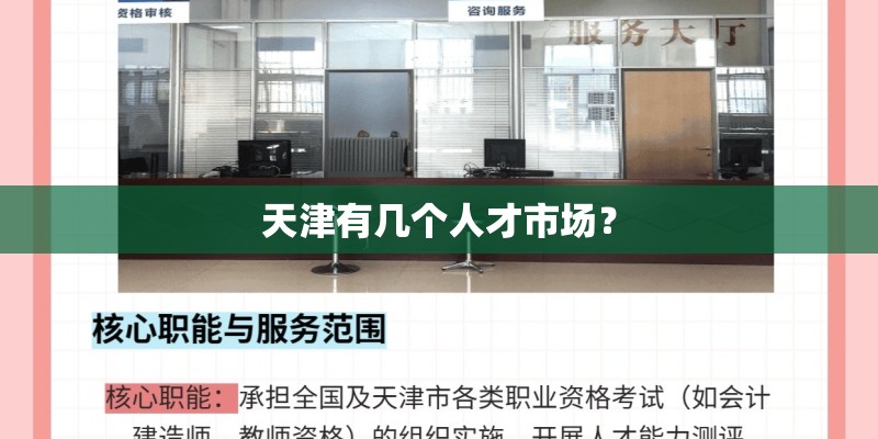 天津有几个人才市场？
