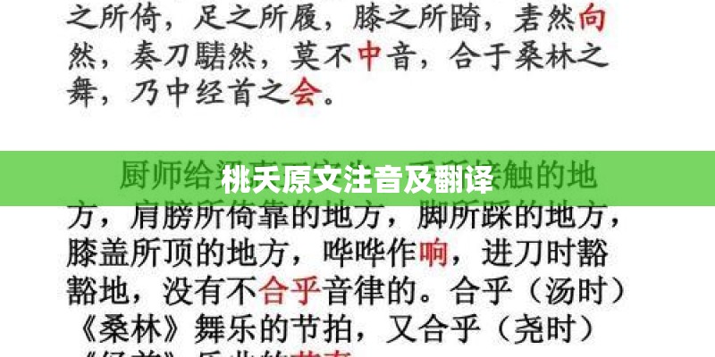 桃夭原文注音及翻译