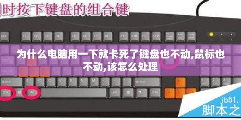 为什么电脑用一下就卡死了键盘也不动,鼠标也不动,该怎么处理