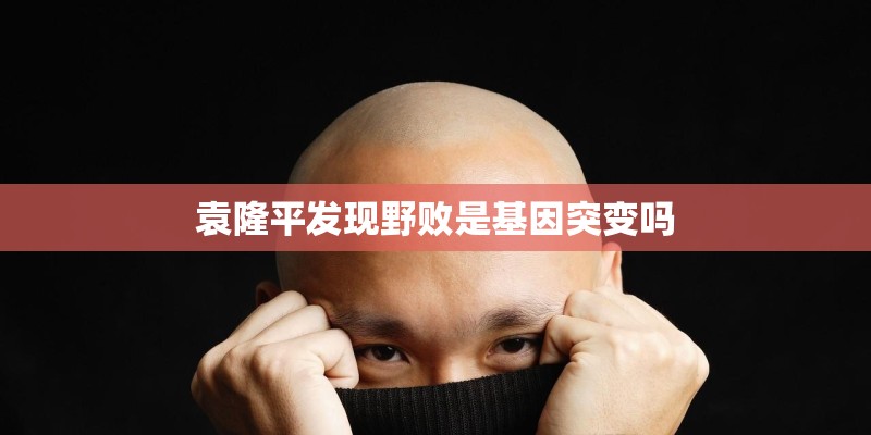 袁隆平发现野败是基因突变吗