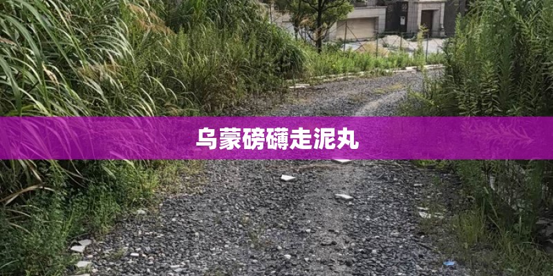 乌蒙磅礴走泥丸