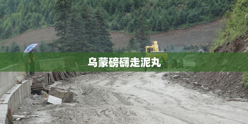乌蒙磅礴走泥丸