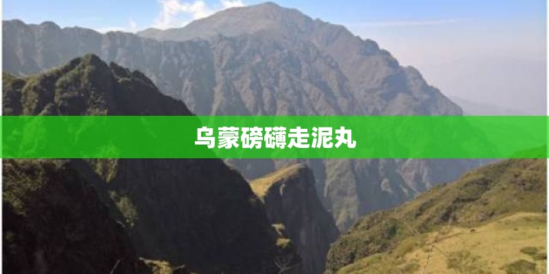 乌蒙磅礴走泥丸
