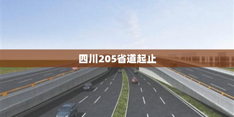四川205省道起止
