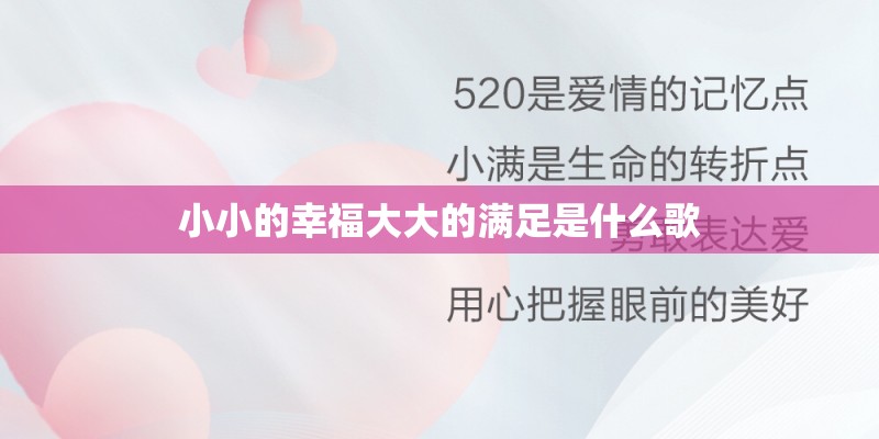 小小的幸福大大的满足是什么歌