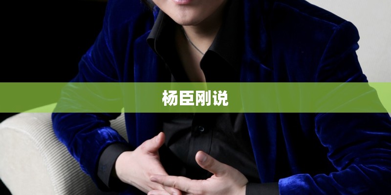 杨臣刚说