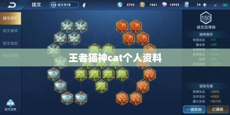 王者猫神cat个人资料