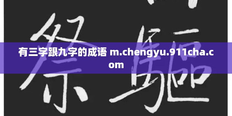 有三字跟九字的成语 m.chengyu.911cha.com