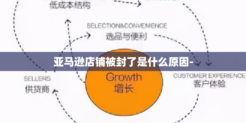 亚马逊店铺被封了是什么原因-